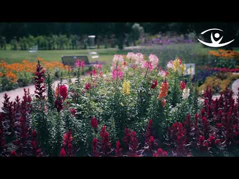 Landkreis Cham #echt dynamisch