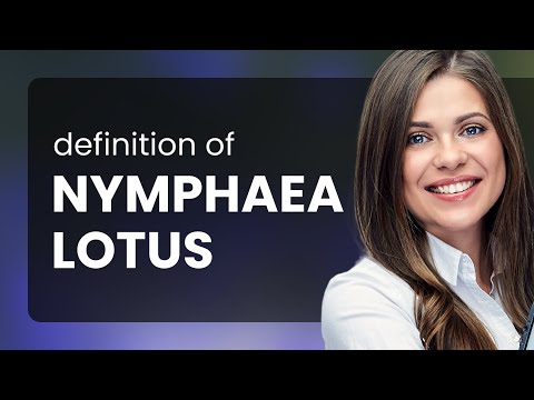 Nymphaea lotus | what is NYMPHAEA LOTUS definition