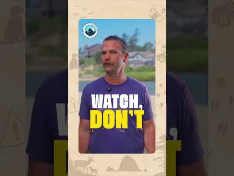 Meeting thumbnail
