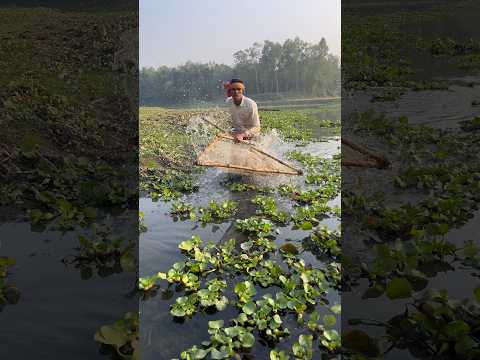 Village Boy’s Ultimate Kachuripana Fishing