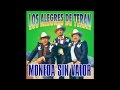 Los Alegres De Teran - El Sauce Y La Palma