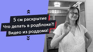 Что делать в родблоке ?! | Раскрытие шейки матки 5 см | Видео из роддома