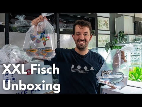 XXL Aquarium Fisch Unboxing | Liquid Nature