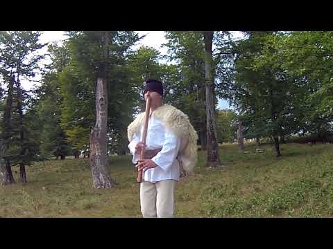 ARTISTUL VASILE  CRISAN - CU DEDICATIE PENTRU IDICEL