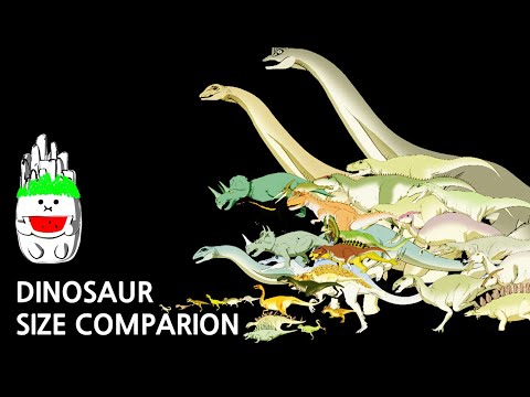 Dinosaurs | Size Comparison