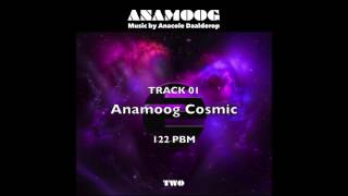 01 Anamoog Cosmic