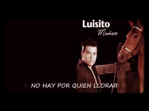 No Hay Por Quien Llorar Luisito Muños música popular