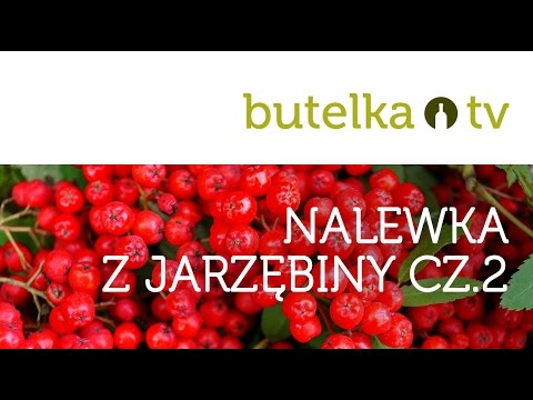 Zdrowa i wyjątkowa nalewka z jarzębiny CZ.2/2