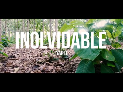 Inolvidable ❌ Yarel (Video Oficial)