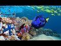 Finding Nemo The Live Action Remake Part 7