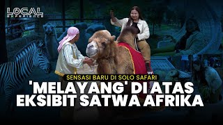 Piknik Asyik di Solo Safari, Sensasi 'Melayang' Naik Savana Zipline di Atas Eksibit Satwa Afrika