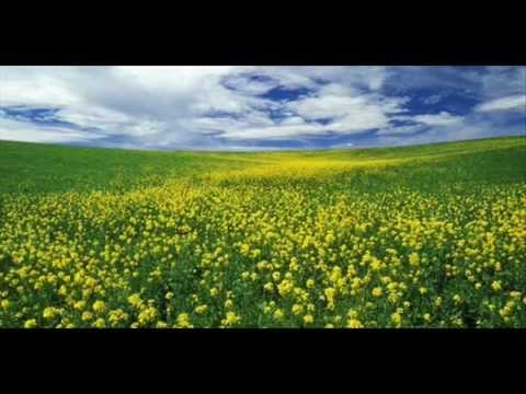 Miguel Bose Ft Juanes Nada Particular - Miguel Bose
