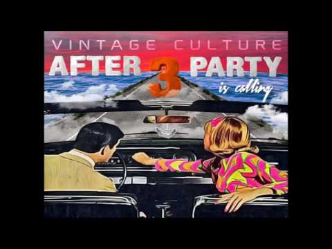 Vintage Culture @ After Party is Calling 03