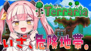 【Terraria】A型が〇ぬ。完全初見でレア鉱石取りに危険地帯へ！なテラリアやるンゴ～！_(っ’o’c)_ #3【#柚鳥ペケ/Vtuber】 #ペケライブ