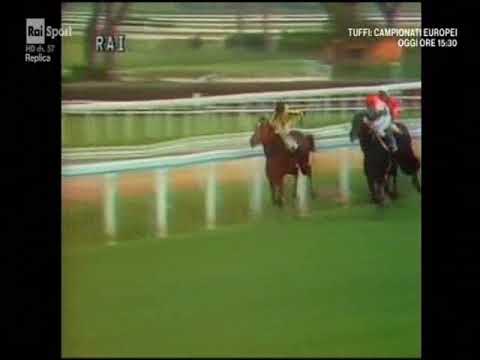 DERBY ITALIANO DEL GALOPPO 1979 MARRACCI