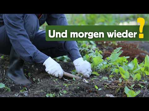 Warum ein ordentlicher Garten oft mehr Unkraut macht...