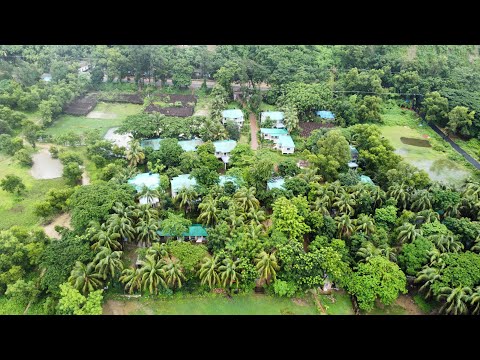 A Bird’s-Eye View of Neelima Resort#short #neelimaresort #short