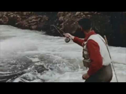 Lee Wulff on Dry Fly Fishing for Atlantic Salmon