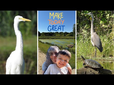 Lots of Wildlife at North Attleboro Fish Hatchery - Conner loves exploring