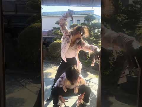 The zombies are coming🧟 #jackton #michael #zerogravity @mjdanceru-key