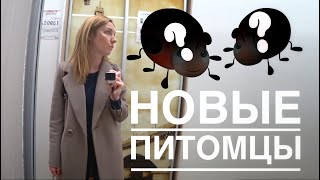 ПРИЮТИЛИ ПИТОМЦЕВ НА ЗИМОВКУ