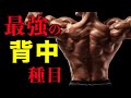 【筋トレ】背中を鍛えるのに最も効果的な種目【ビーレジェンド プロテイン】