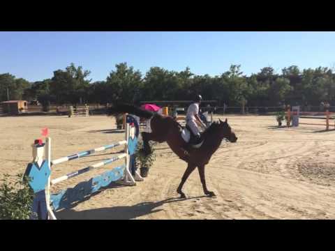 Vino - Grimaud - 1.35m - barrage