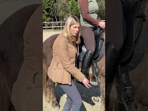 Die richtige Steigbügellänge einstellen