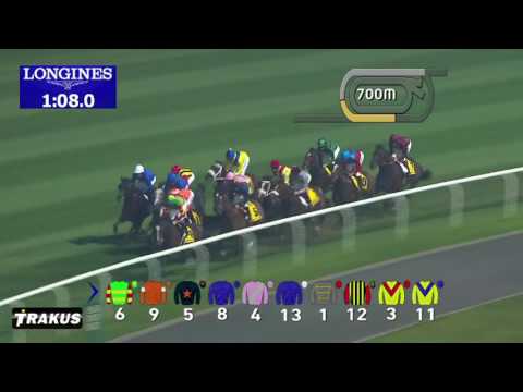 29.03.2014 Meydan (Dubai-UAE) 7.Race Dubai Duty Free 2014 - Group I 1.800 m