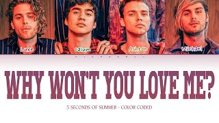 5SOS &#39;Why Won&#39;t You Love Me&#39; (5 Seconds of Summer Color Coded Lyrics) (PT-BR CC)