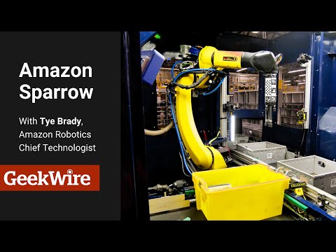 Sparrow Video 2635