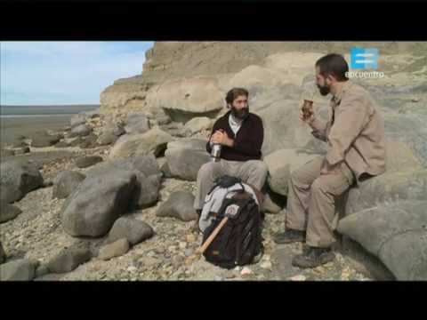 Naturalistas viajeros - Los hermanos Ameghino en la Patagonia