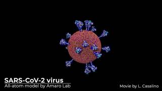 Coronavirus Spike Protein Images and Movies