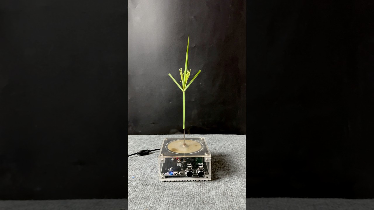 Plants + tesla coil ep1