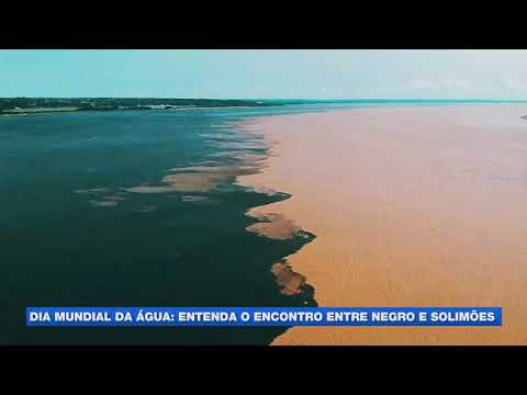 World Water Day: Understand the meeting of the Negro and Solimões rivers in the Amazon