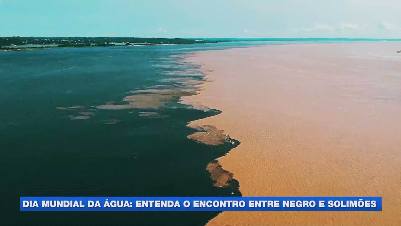 Dia Mundial da água: entenda o encontro entre os rios Negro e Solimões no Amazonas