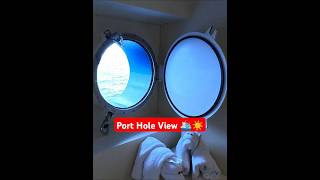 Port Hole View on the Carnival Radiance 🚢☀️🌴