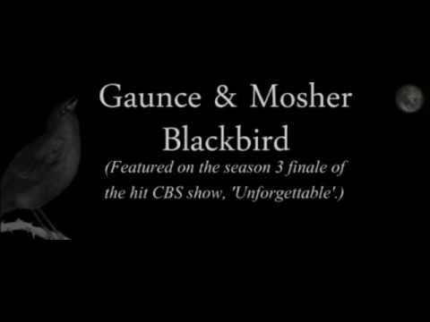 Gaunce & Mosher- Blackbird