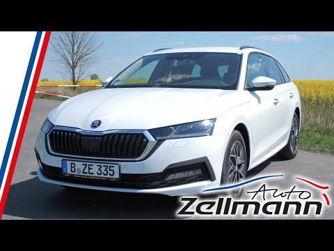 Skoda Octavia 2020 - der bessere Superb? | auto-zellmann.de