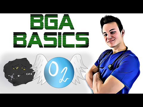 BGA BASICS EINFACH ERKLÄRT! Pao2, PH und Co!
