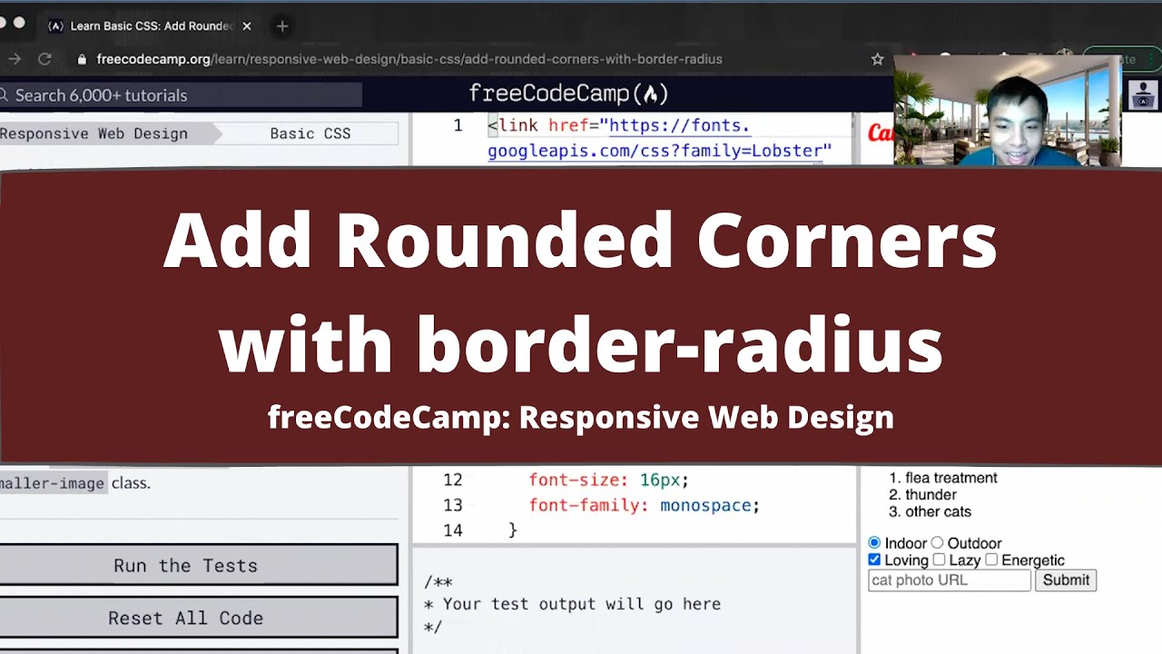 Add Rounded Corners with border radius (Basic CSS) freeCodeCamp tutorial