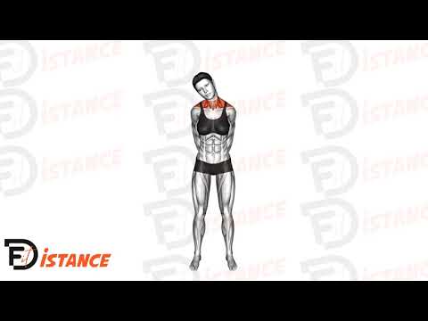 Exercice Étirement latéral du cou debout