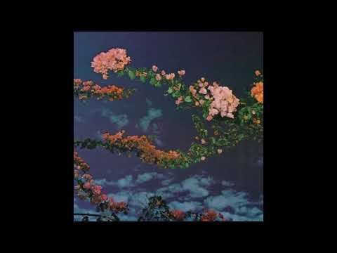 crystal garden [ sophie meiers x comodo ]