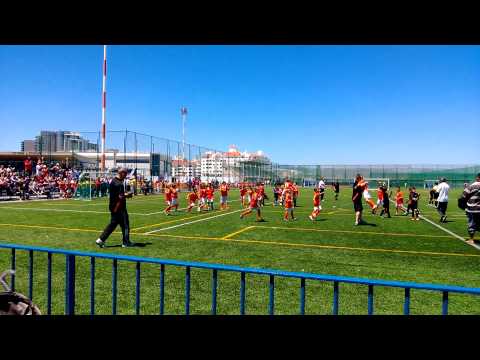 Lions FC U7 Cup Winners 2013