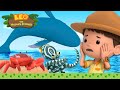 Best SEA ANIMALS Piranhas Whales Mimic Octopus Leo The Wildlife Ranger Kids Cartoons