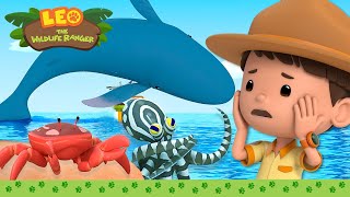 Download lagu 🐳 Best SEA ANIMALS 🦈 Piranhas, Whales, Mimic Octopus 💦  Leo the Wildlife Ranger | Kids Cartoons mp3
