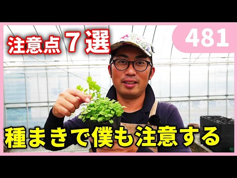 暖房温室内のテーブル上での早期播種