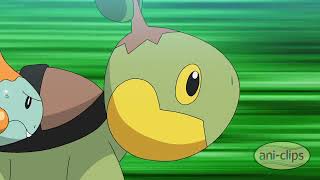 Turtle Race! - Pokemon Journeys