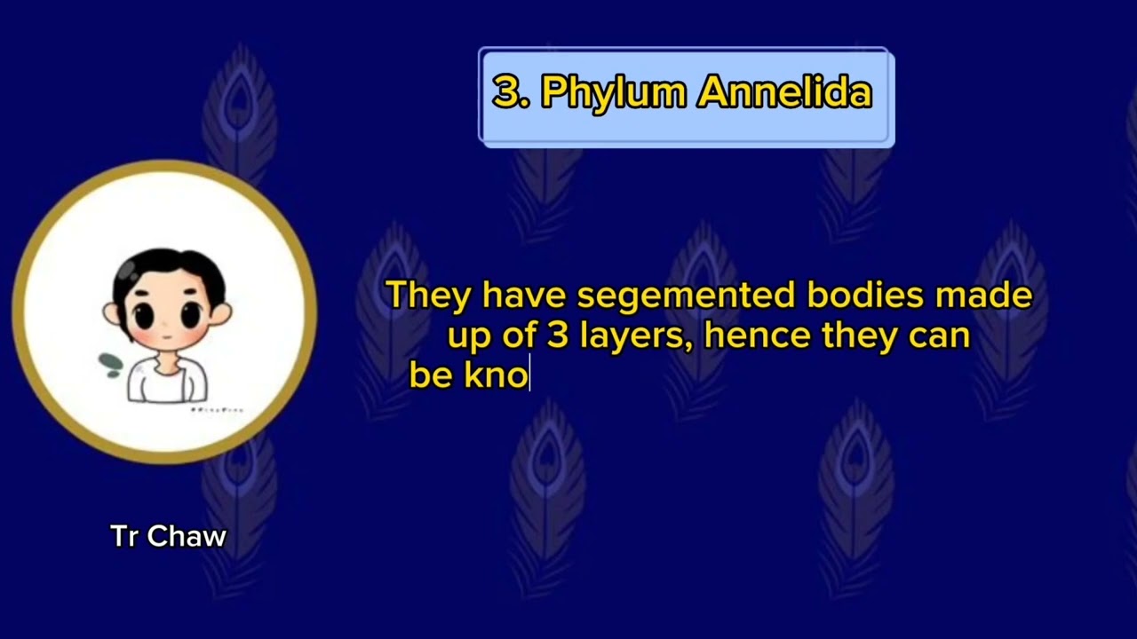 Lesson 20 - Invertebrates