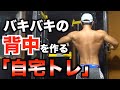 【自宅で】でかい背中を作るトレーニング【筋トレ】【ホームトレーニング】